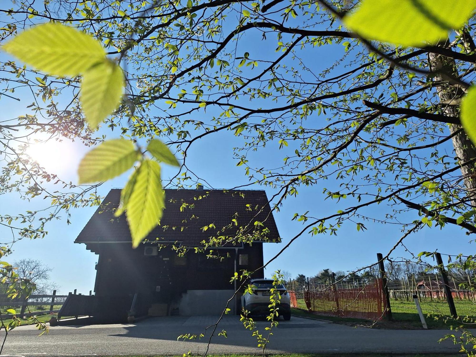 Logarska Koca Villa Fokovci Buitenkant foto